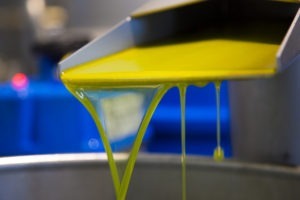 Azienda-agricola-Olio-Corax-Alghero-TotAlguer