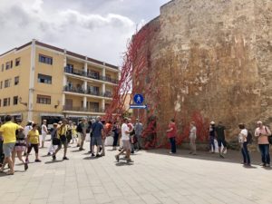 Albero corallo Alghero TotAlguer
