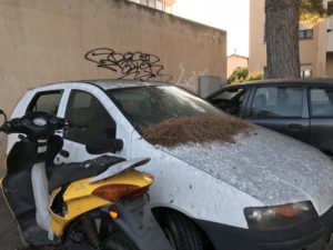 macchine abbandonate alghero totalguer